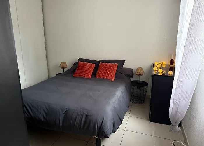 Apartmán Cosy T2 Proche Commodites Et *
